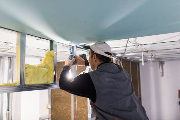 Best Geographic-Specific Insulation Services in White City, FL