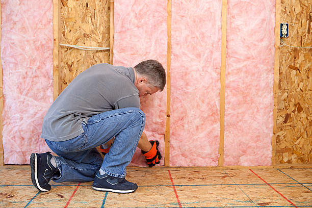 Best Cellulose Insulation in White City, FL